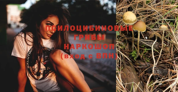 ГАЛЛЮЦИНОГЕННЫЕ ГРИБЫ Баксан