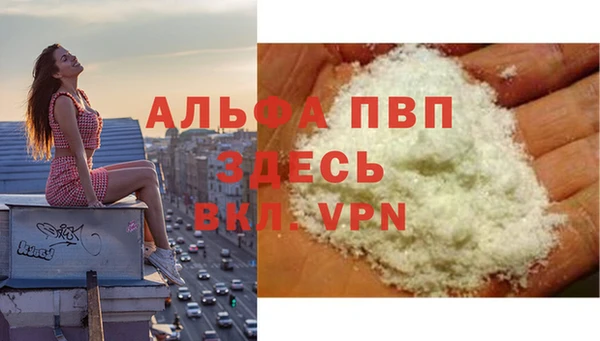 сатива Белоозёрский