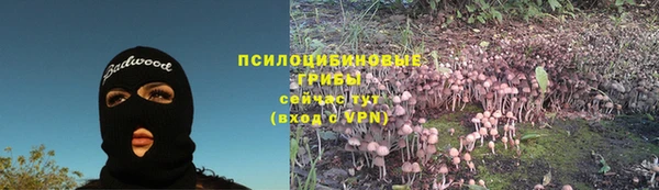 2c-b Беломорск